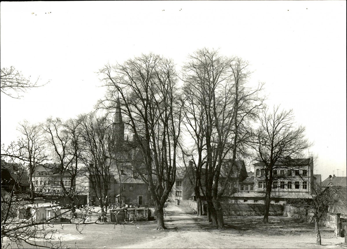 Ewidencja parkowa, skan nr 57