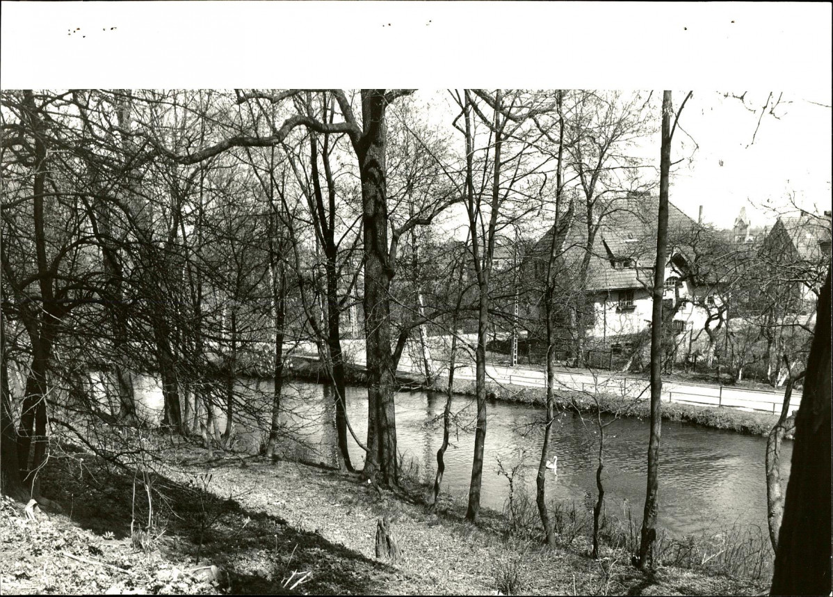 Ewidencja parkowa, skan nr 73