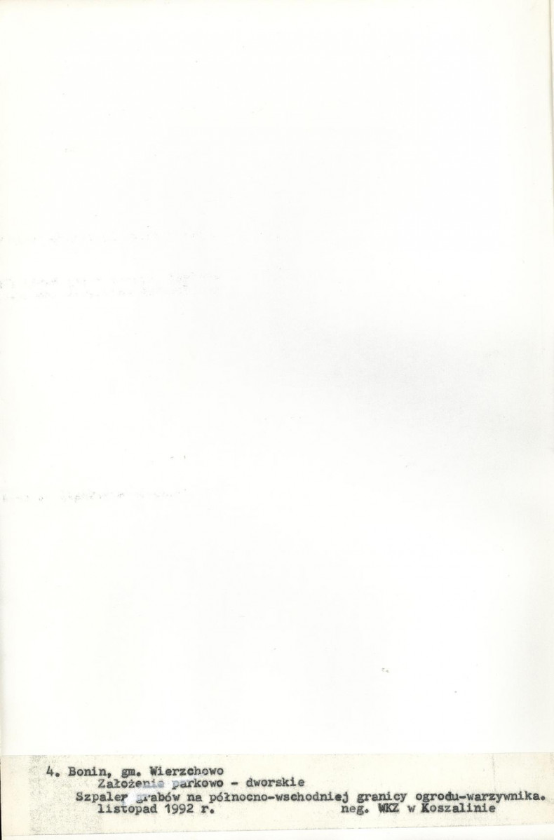 Ewidencja parkowa, skan nr 26