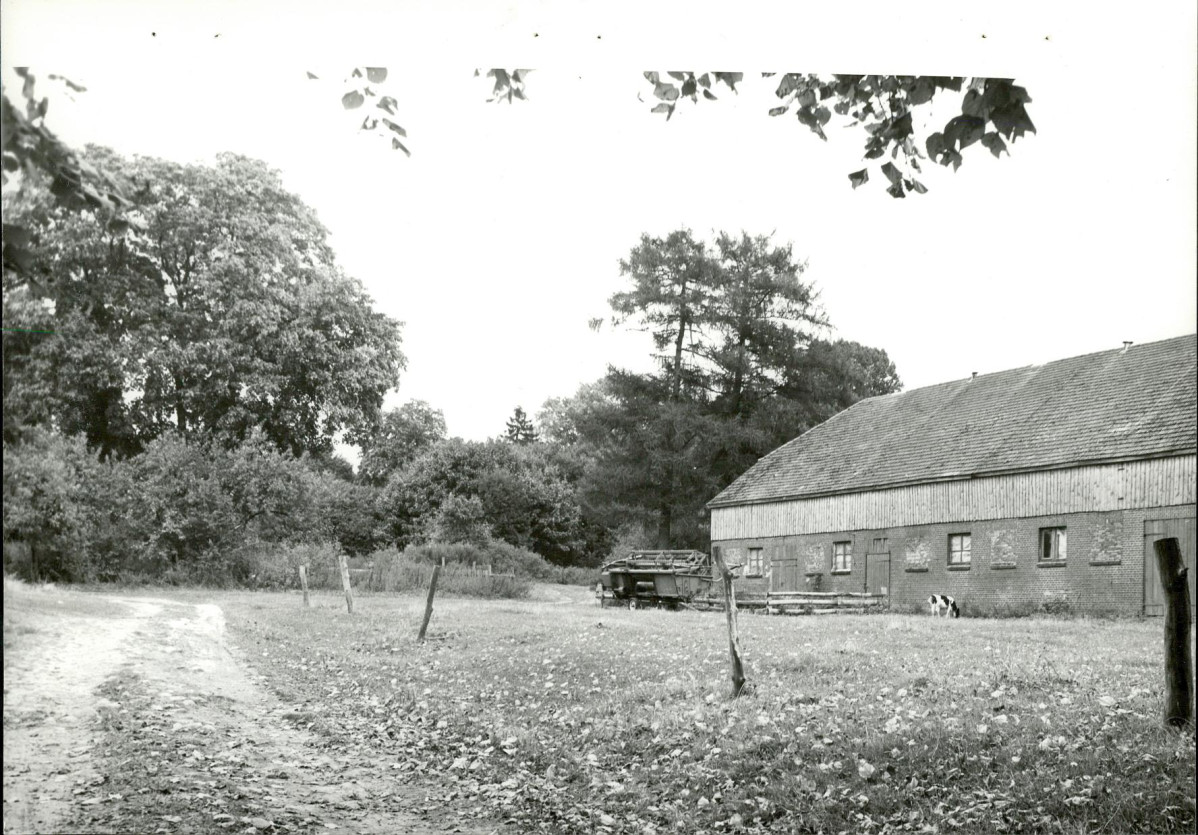 EP - Ewidencja parkowa, skan nr 20