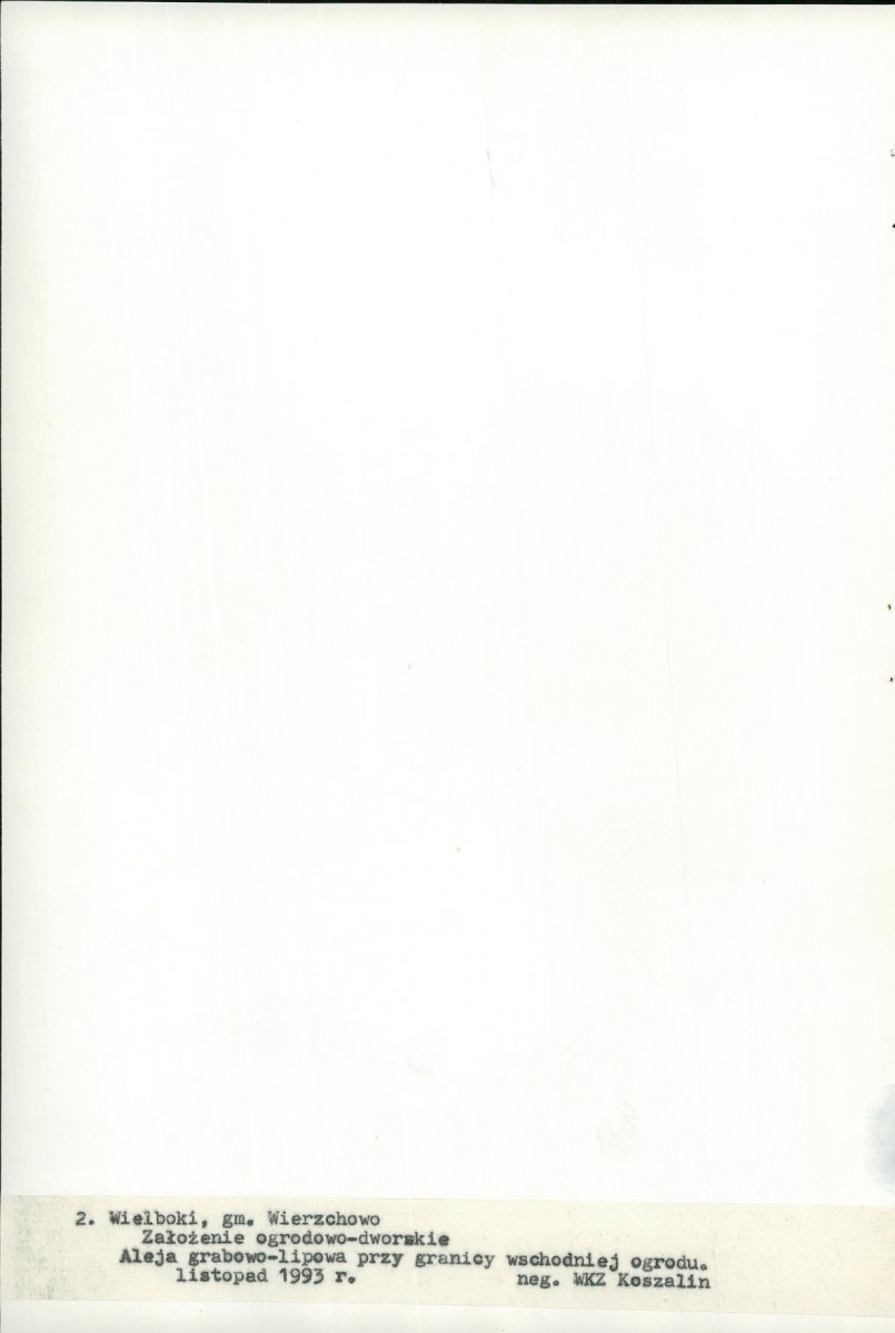 Ewidencja parkowa, skan nr 21