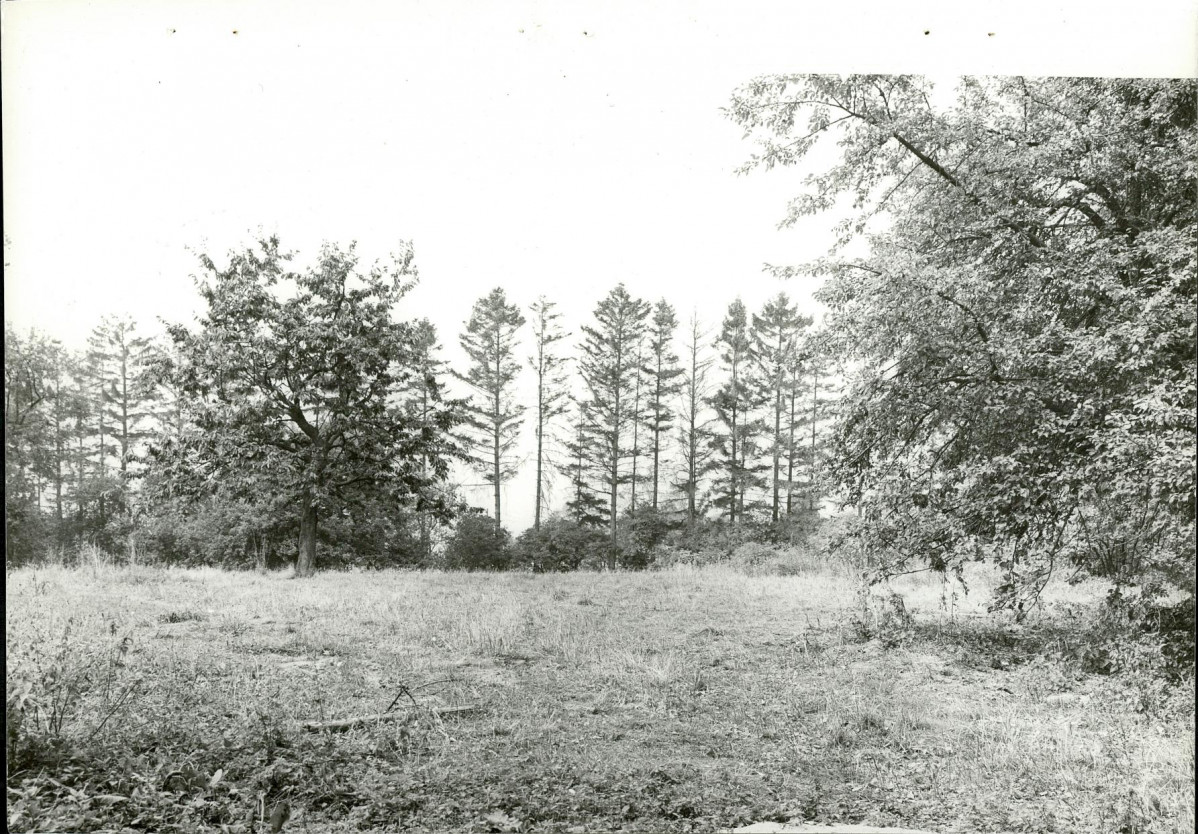 Ewidencja parkowa, skan nr 22