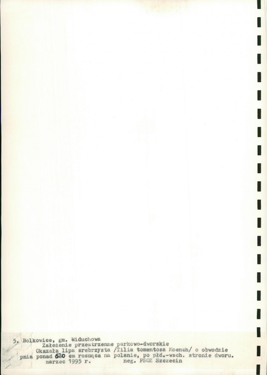Ewidencja parkowa, skan nr 35