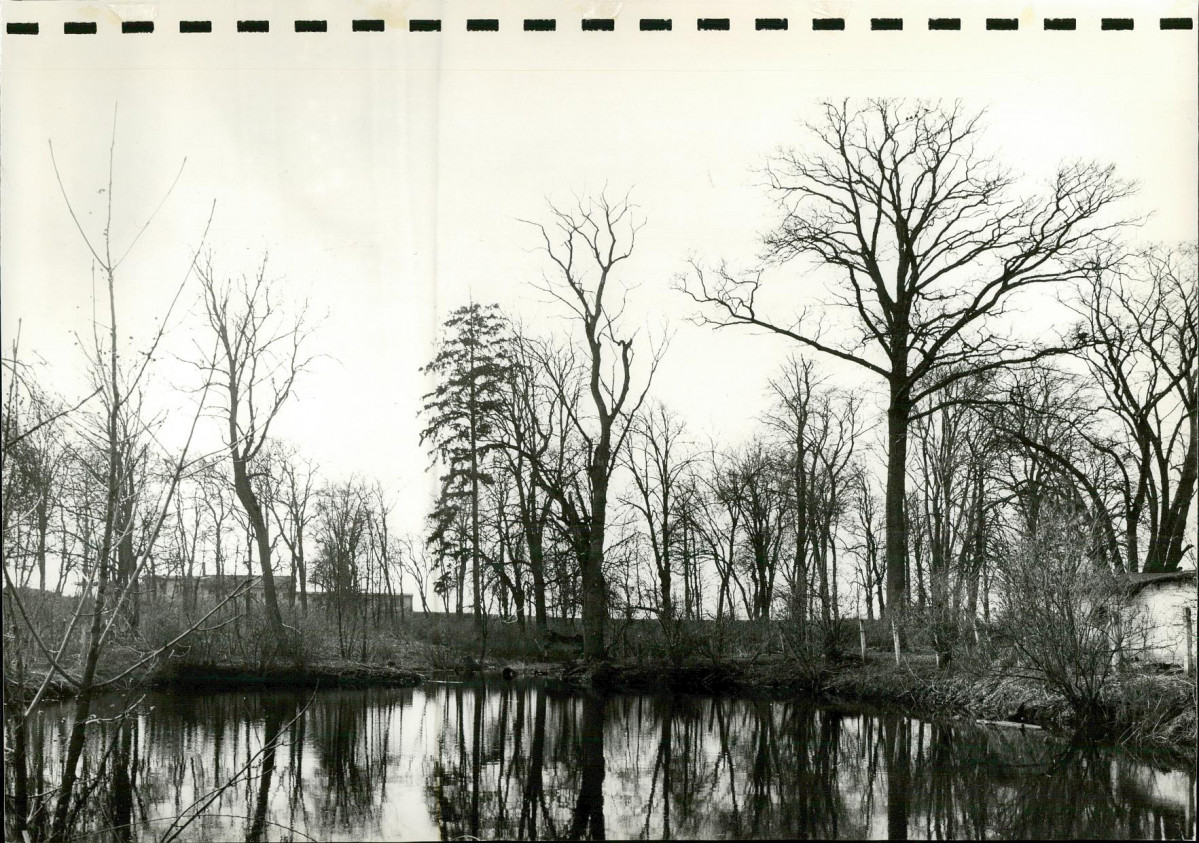 Ewidencja parkowa, skan nr 36