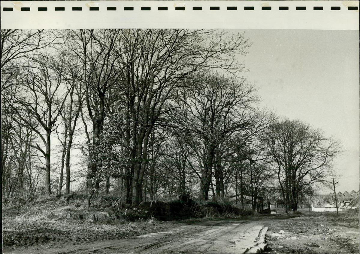 Ewidencja parkowa, skan nr 38