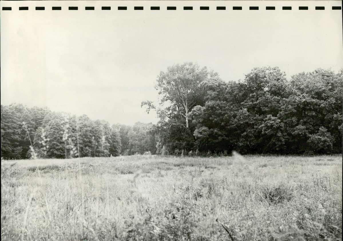 EP - Ewidencja parkowa, skan nr 42