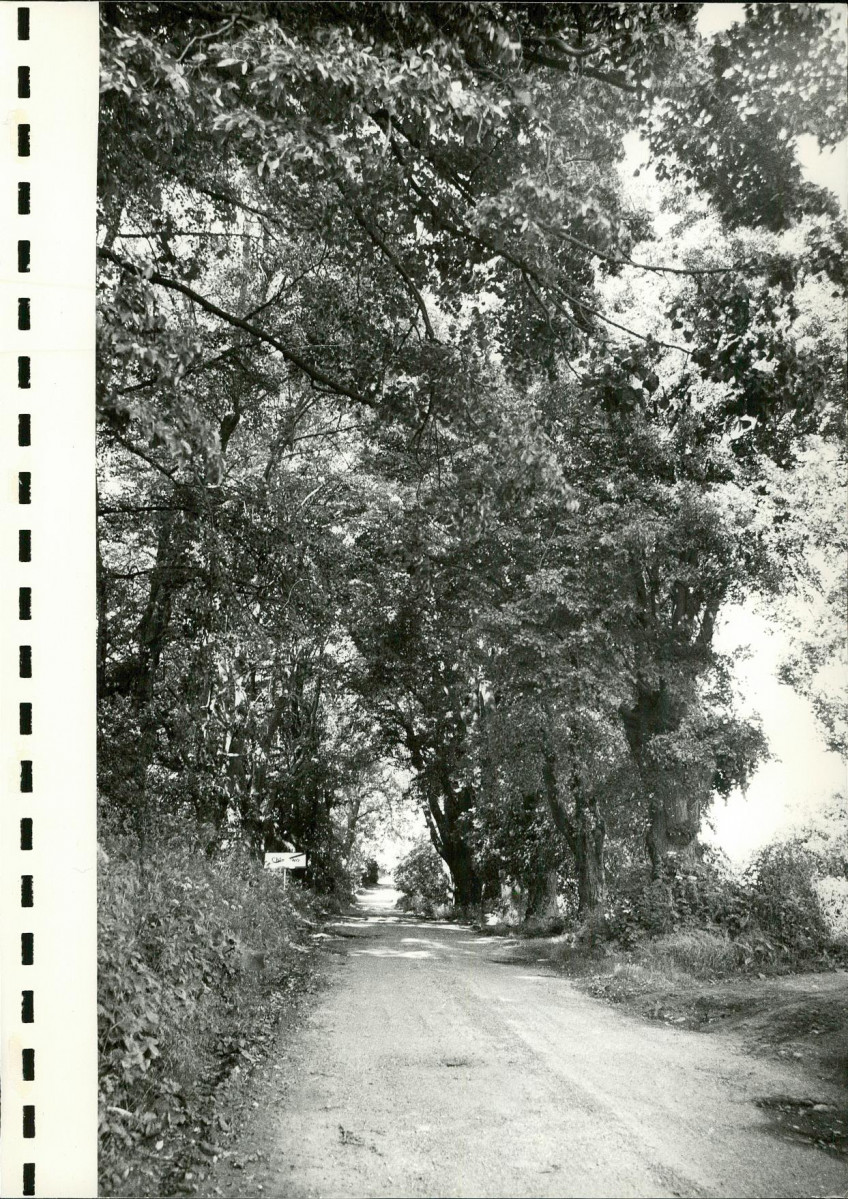 Ewidencja parkowa, skan nr 23