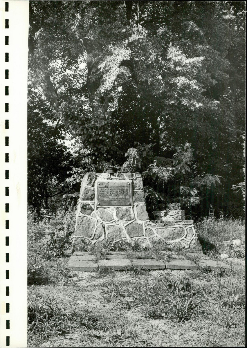 Ewidencja parkowa, skan nr 25