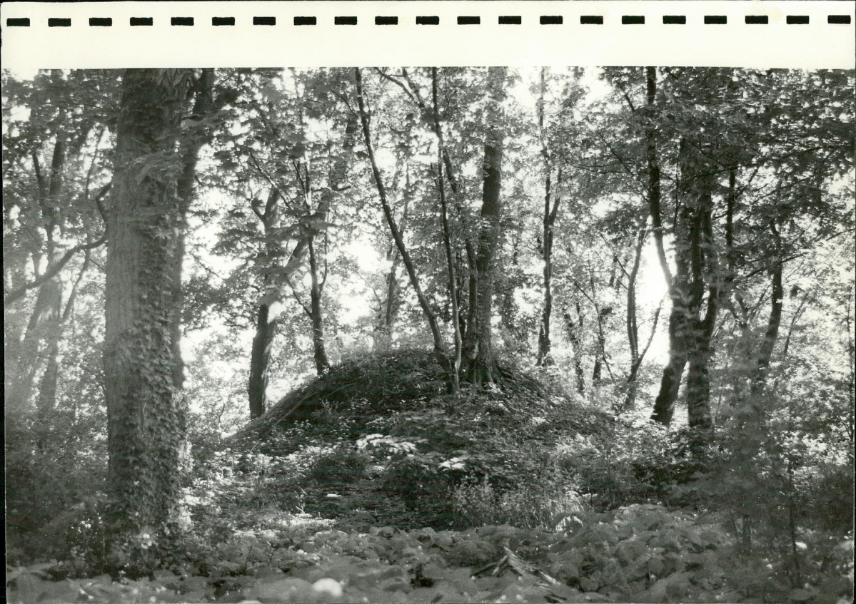 Ewidencja parkowa, skan nr 37