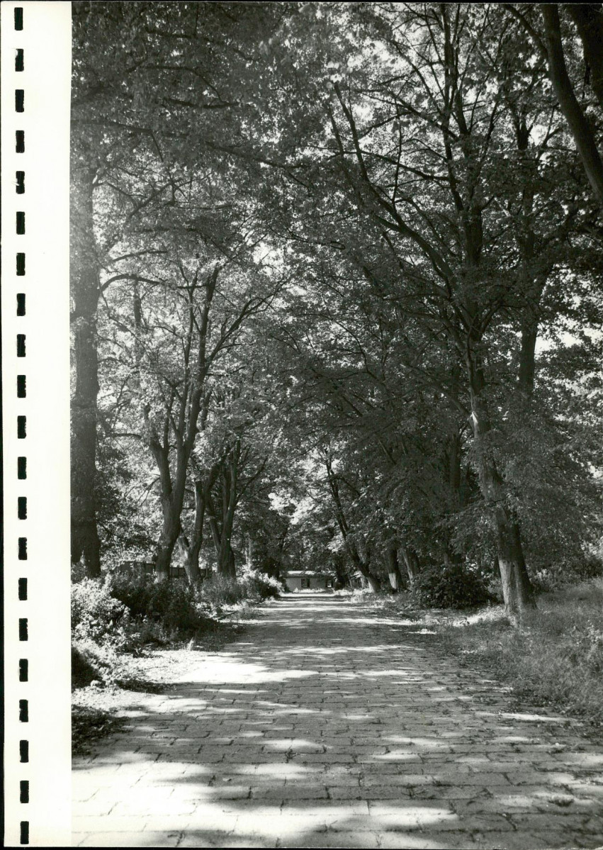 Ewidencja parkowa, skan nr 25