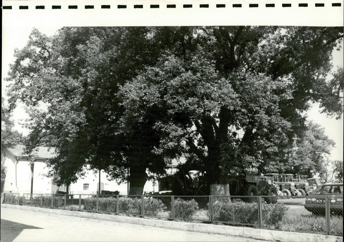 Ewidencja parkowa, skan nr 27