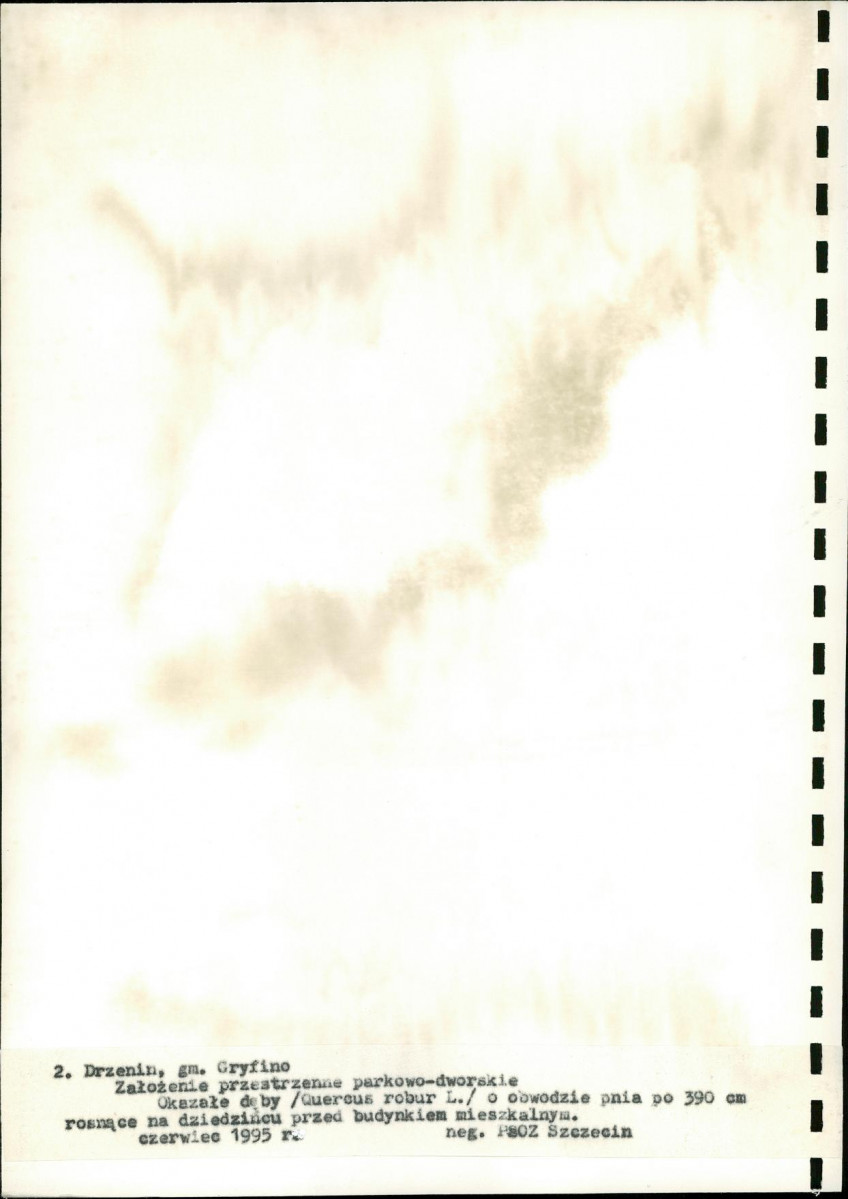 Ewidencja parkowa, skan nr 28