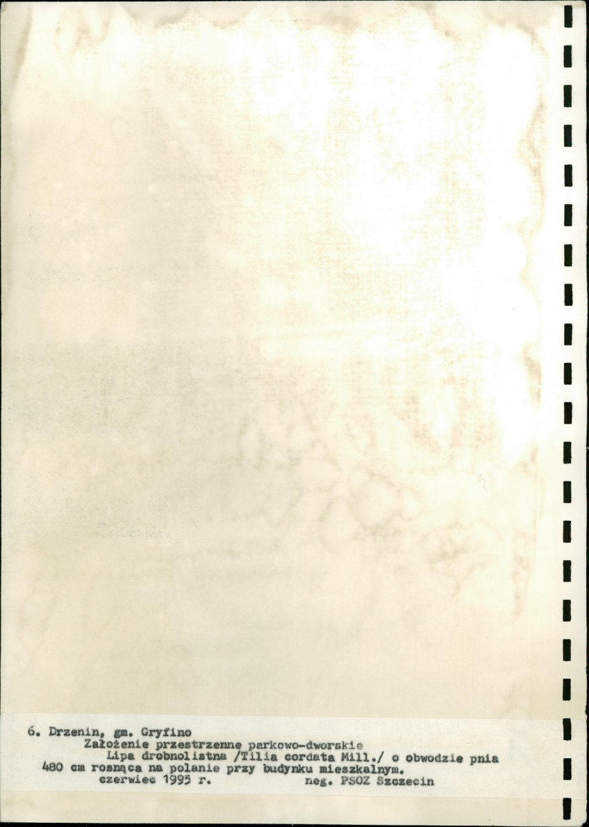 Ewidencja parkowa, skan nr 36