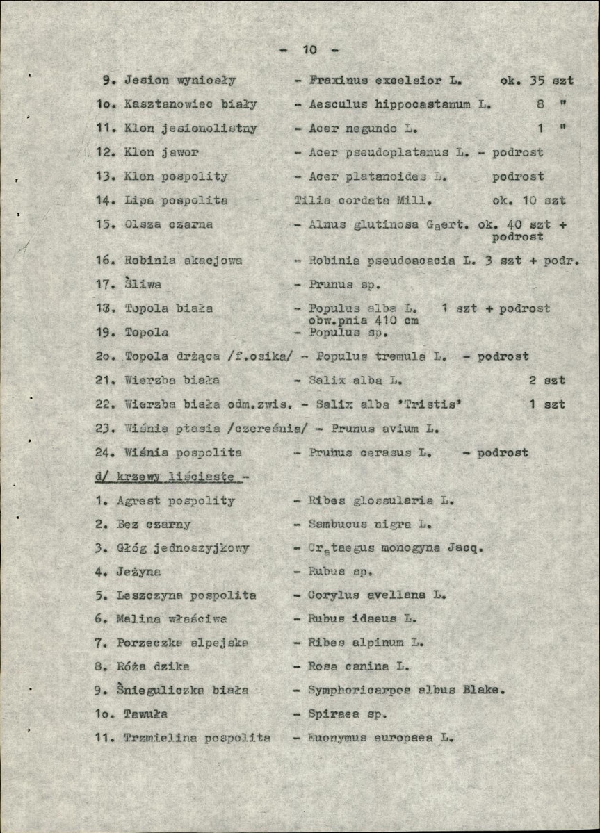 EP - Ewidencja parkowa, skan nr 13