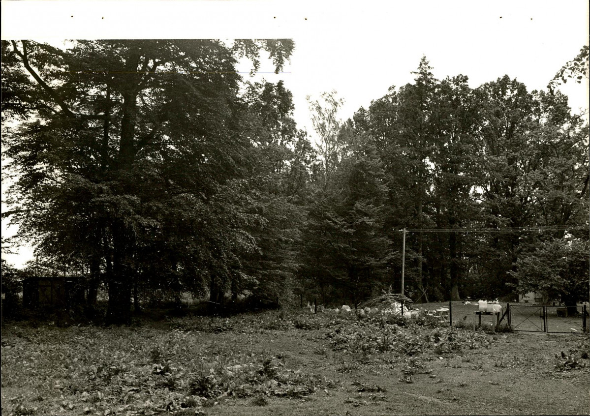 EP - Ewidencja parkowa, skan nr 26