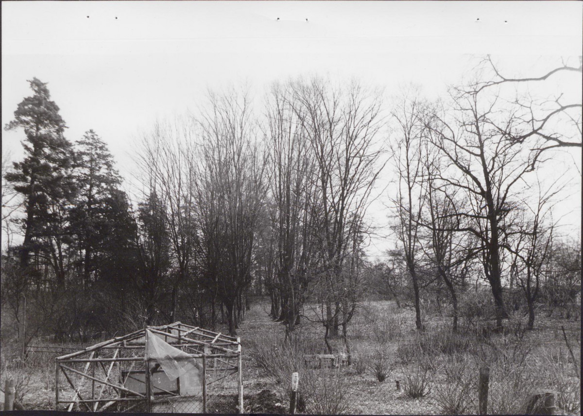 Ewidencja parkowa, skan nr 50