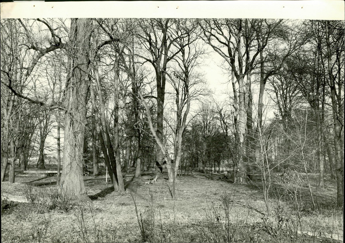 Ewidencja parkowa, skan nr 58