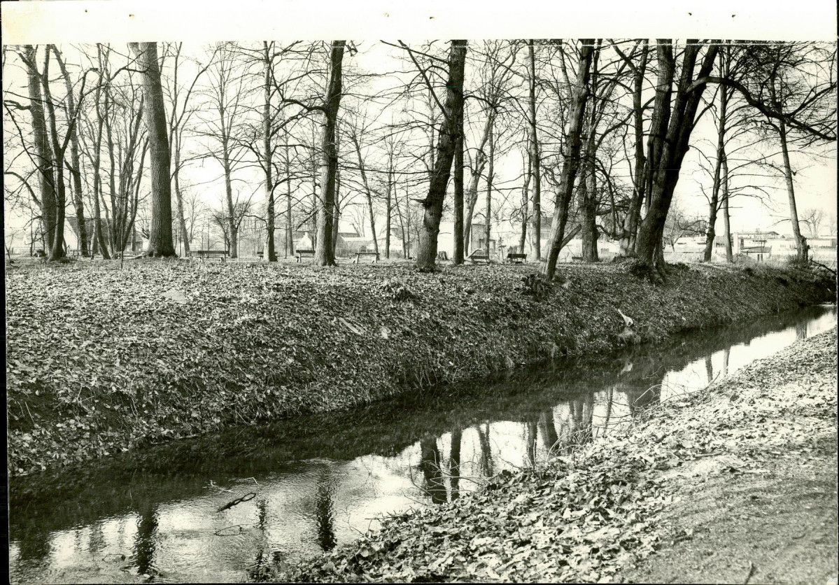 Ewidencja parkowa, skan nr 62