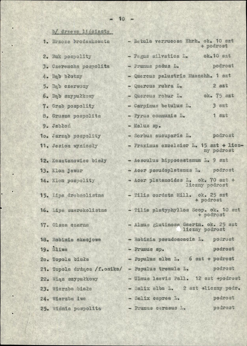 Ewidencja parkowa, skan nr 13