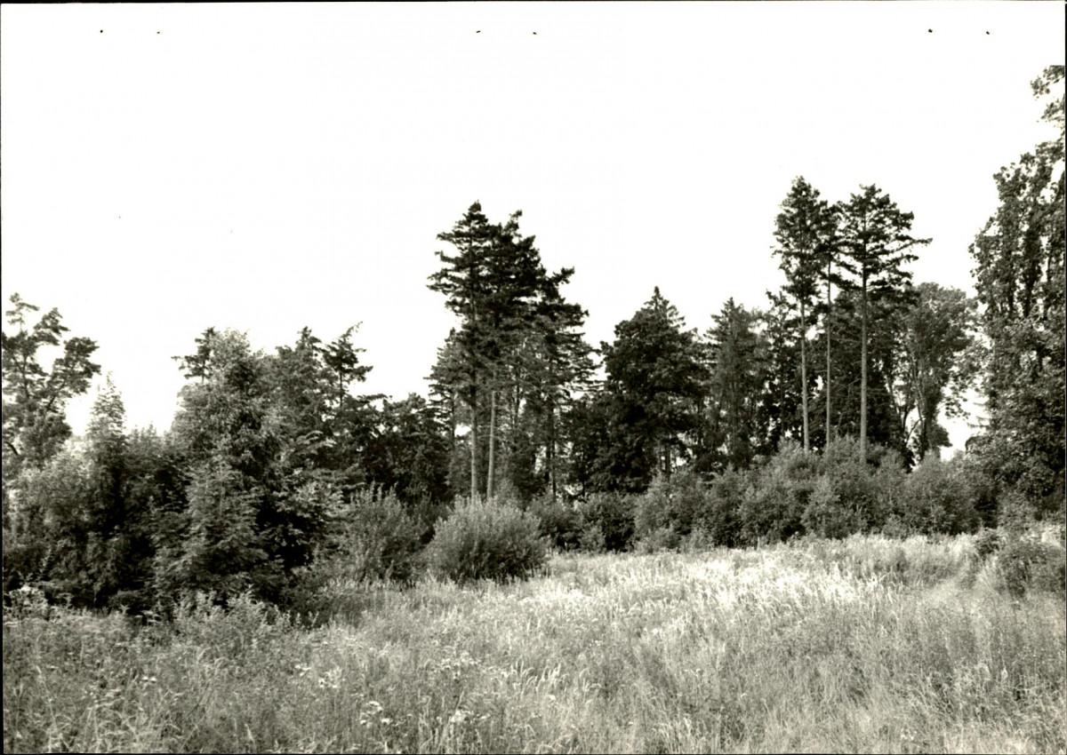 Ewidencja parkowa, skan nr 26