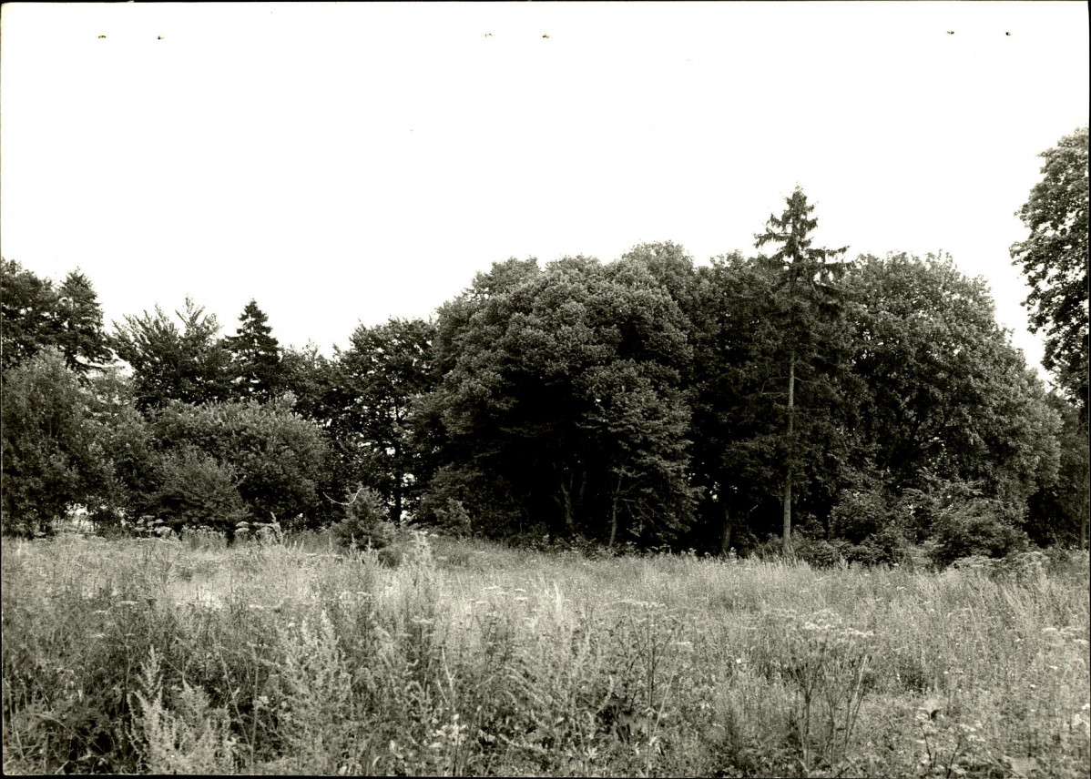 Ewidencja parkowa, skan nr 30