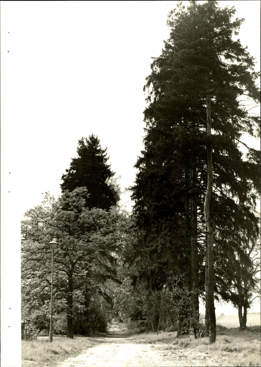 Ewidencja parkowa, skan nr 22