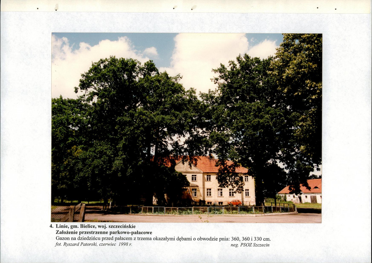 EP - Ewidencja parkowa, skan nr 31