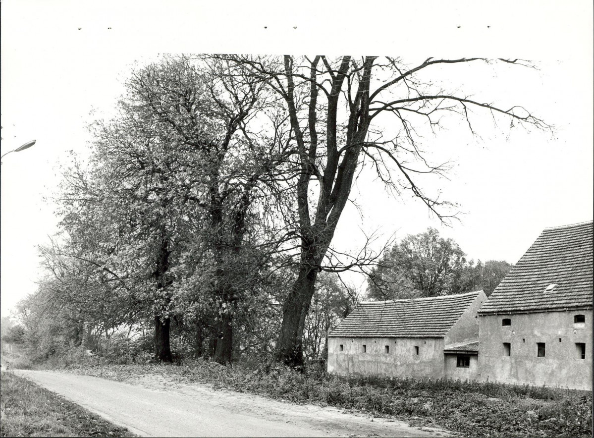 Ewidencja parkowa, skan nr 21