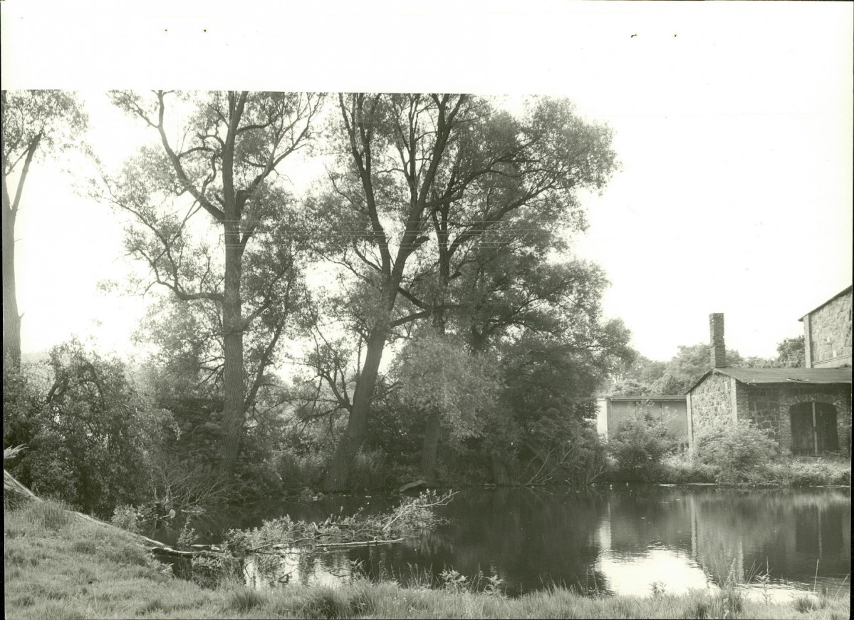 Ewidencja parkowa, skan nr 19