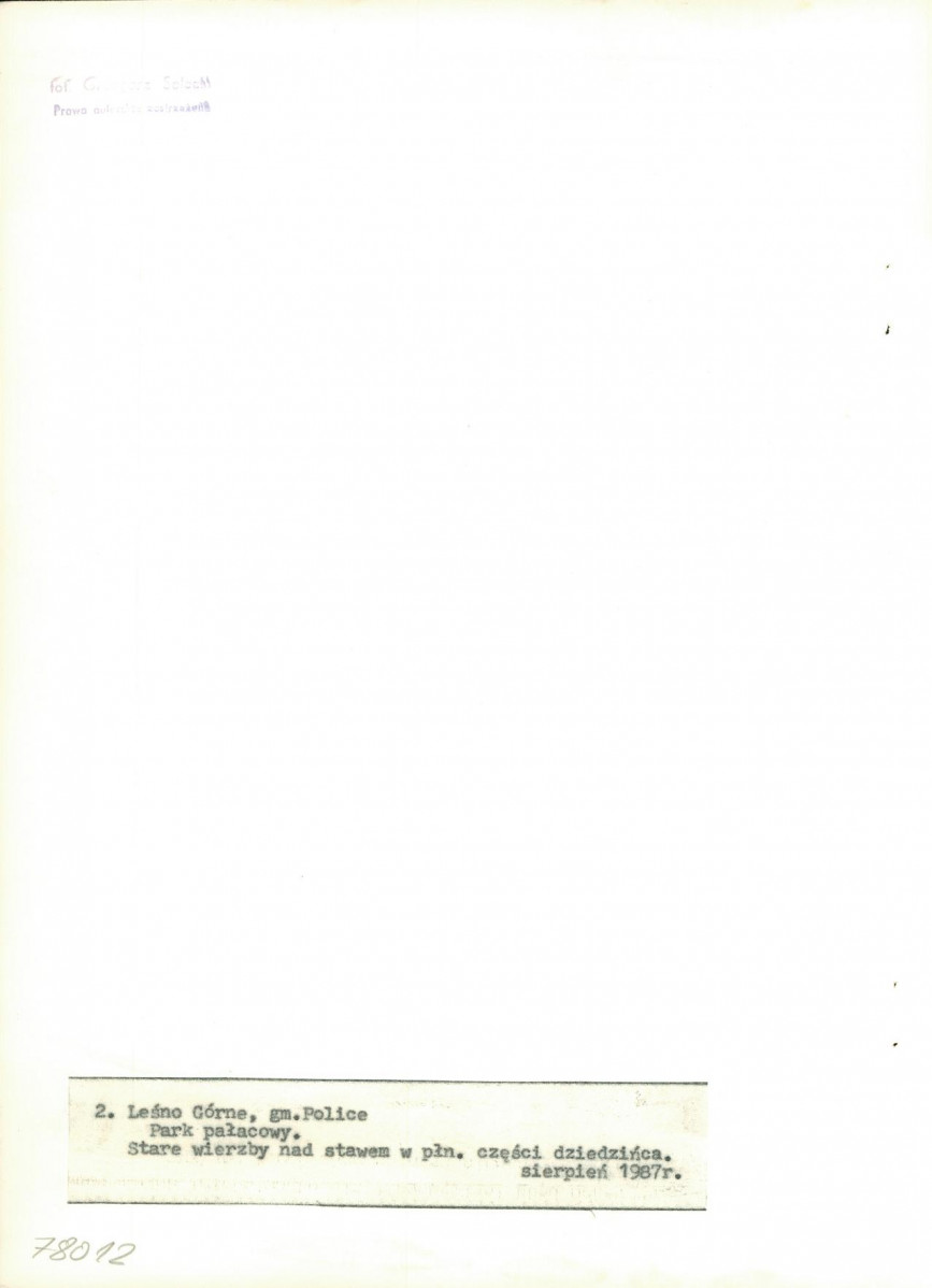 Ewidencja parkowa, skan nr 20