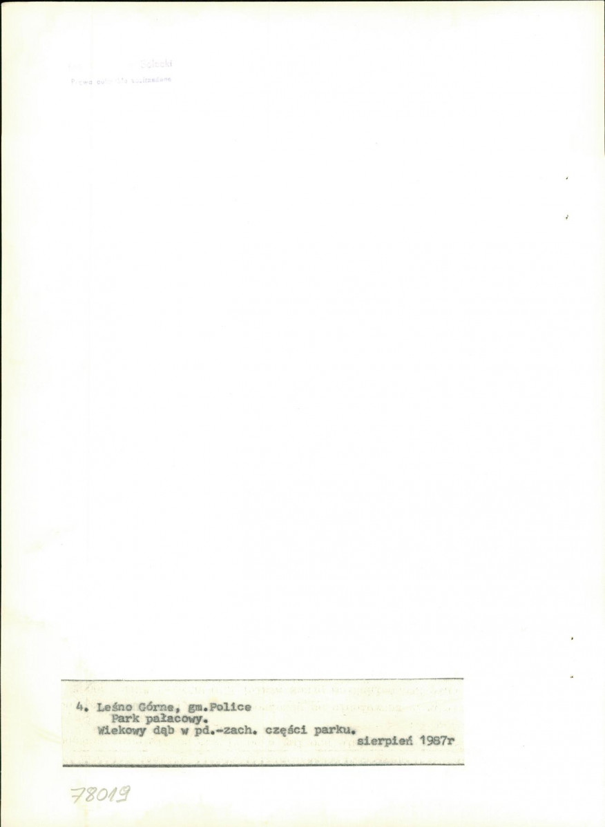 Ewidencja parkowa, skan nr 24