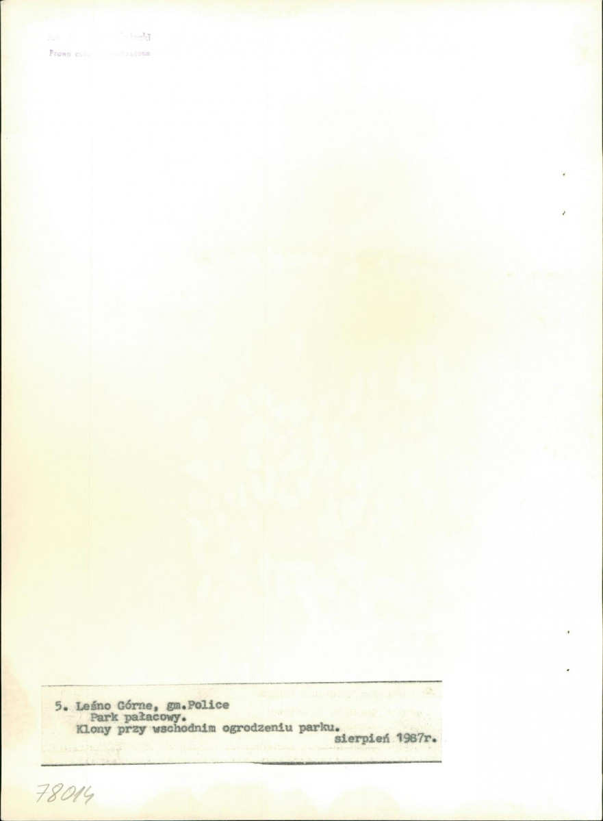 Ewidencja parkowa, skan nr 26