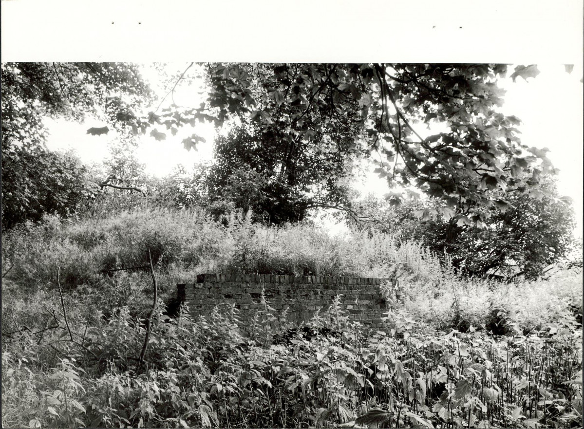 Ewidencja parkowa, skan nr 35