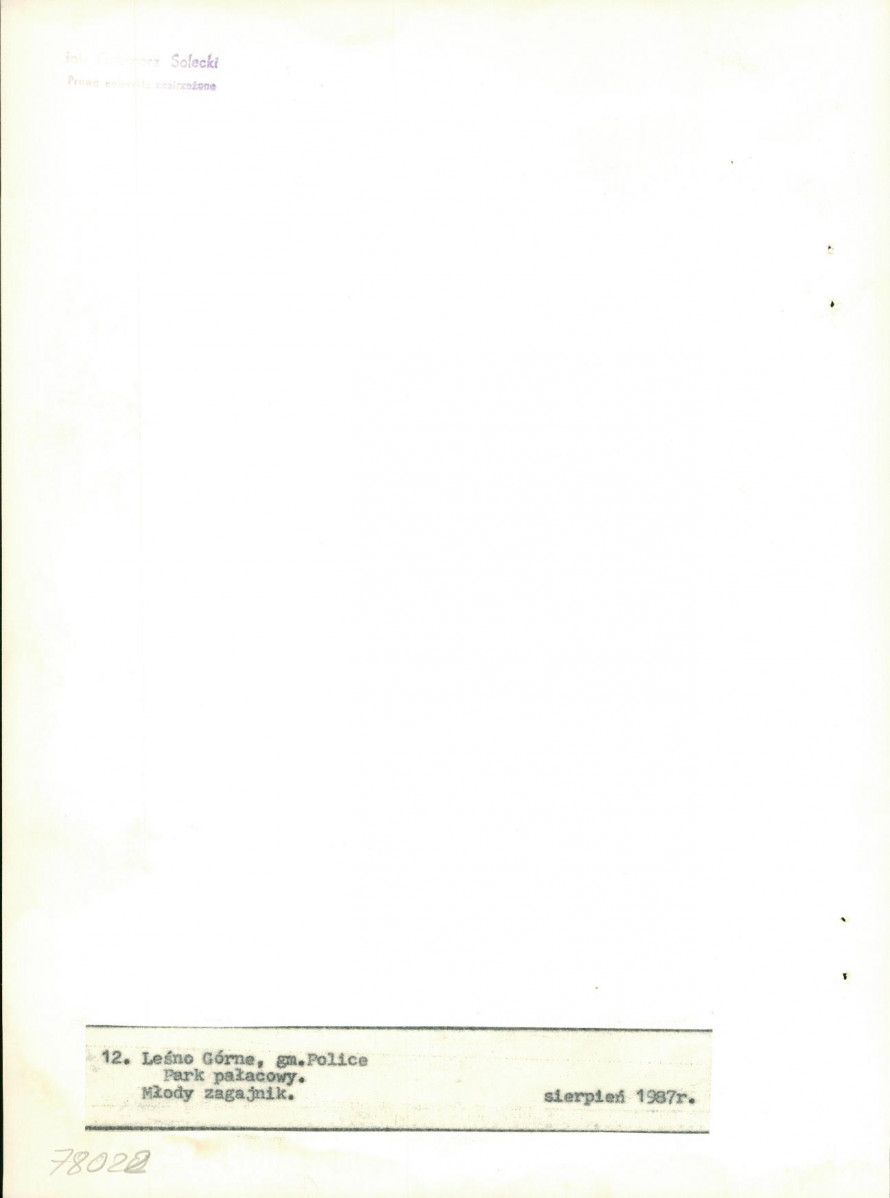 Ewidencja parkowa, skan nr 38