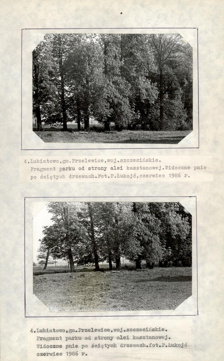 EP - Ewidencja parkowa, skan nr 23