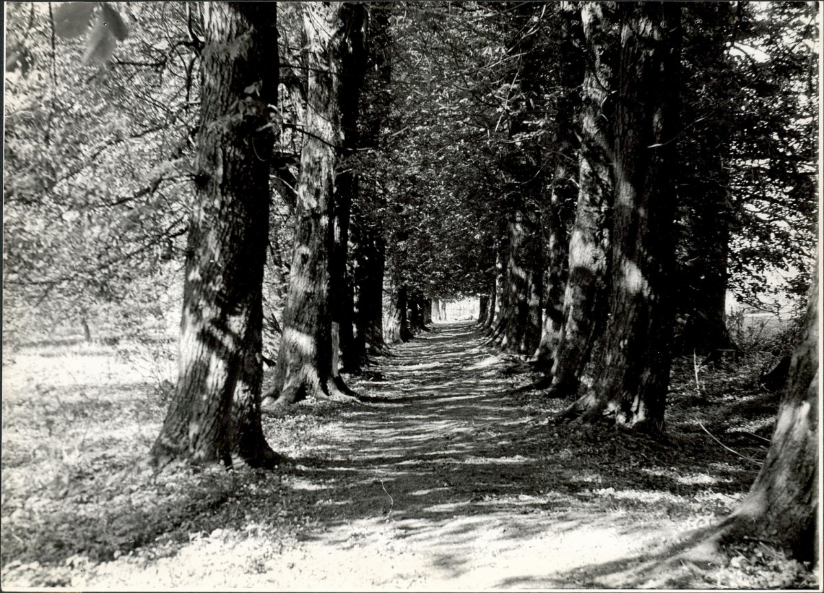 EP - Ewidencja parkowa, skan nr 26