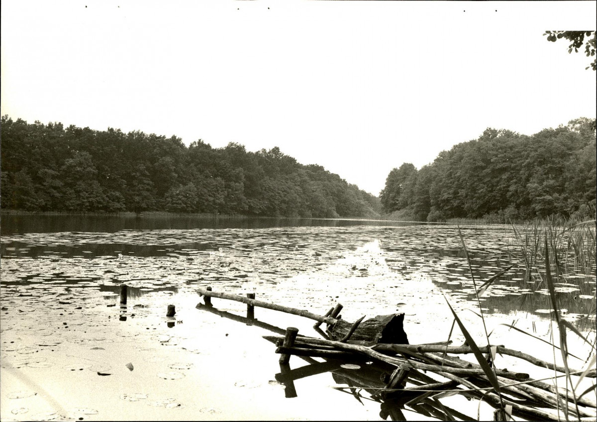 EP - Ewidencja parkowa, skan nr 70
