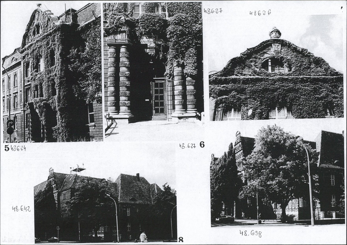 Karta biała, skan nr 10