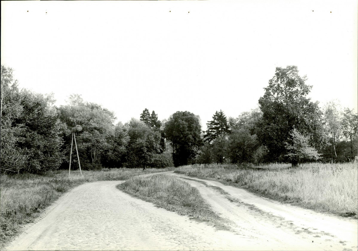 EP - Ewidencja parkowa, skan nr 29