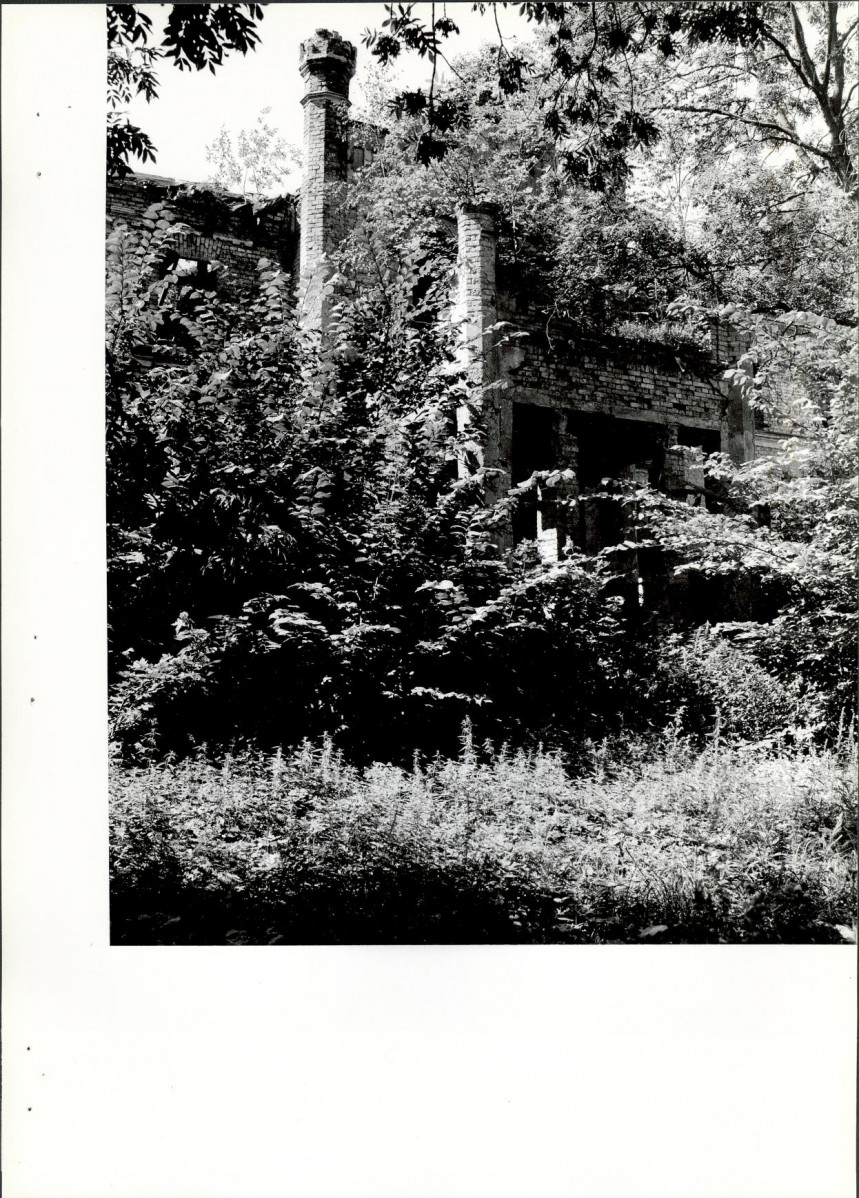 EP - Ewidencja parkowa, skan nr 54
