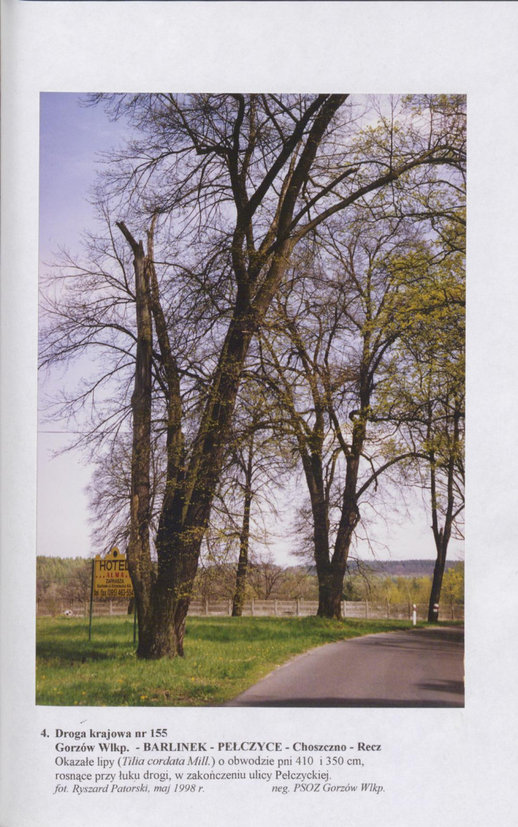 Ewidencja parkowa, skan nr 40