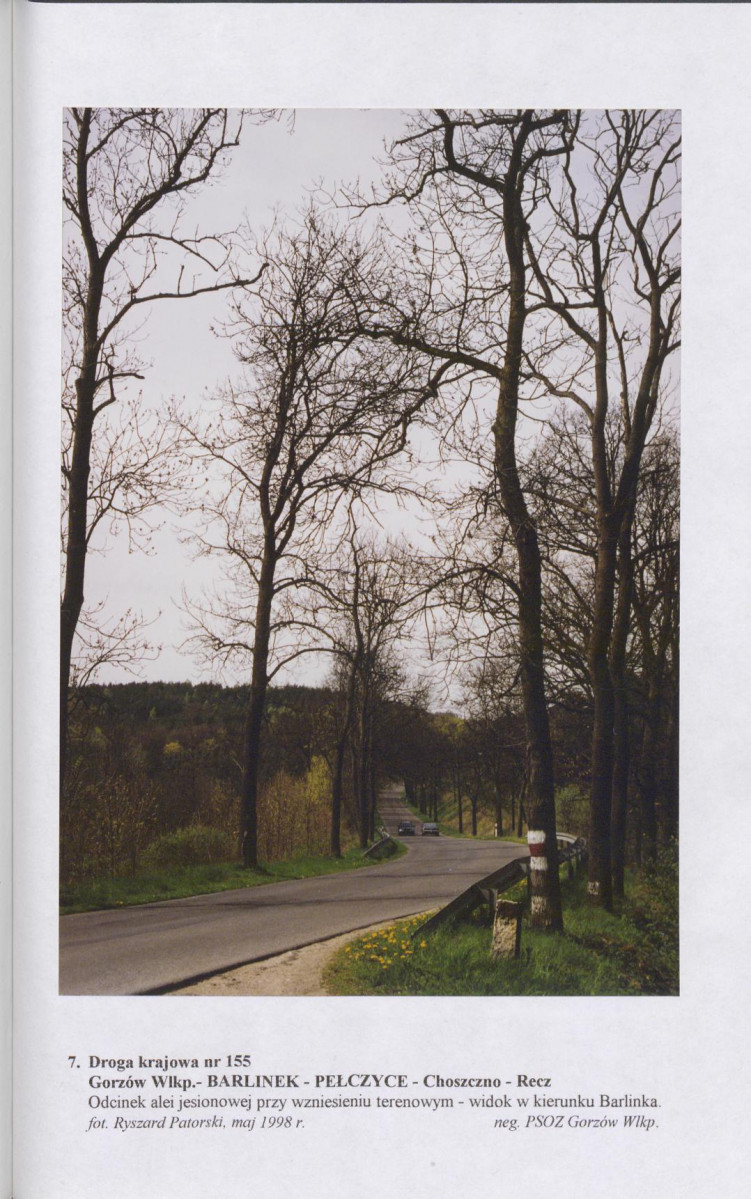 Ewidencja parkowa, skan nr 43