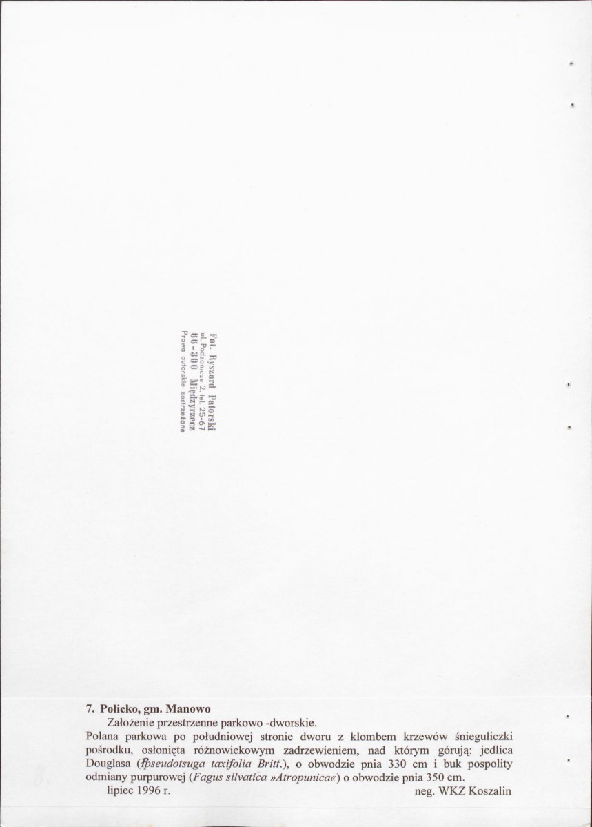EP - Ewidencja parkowa, skan nr 36