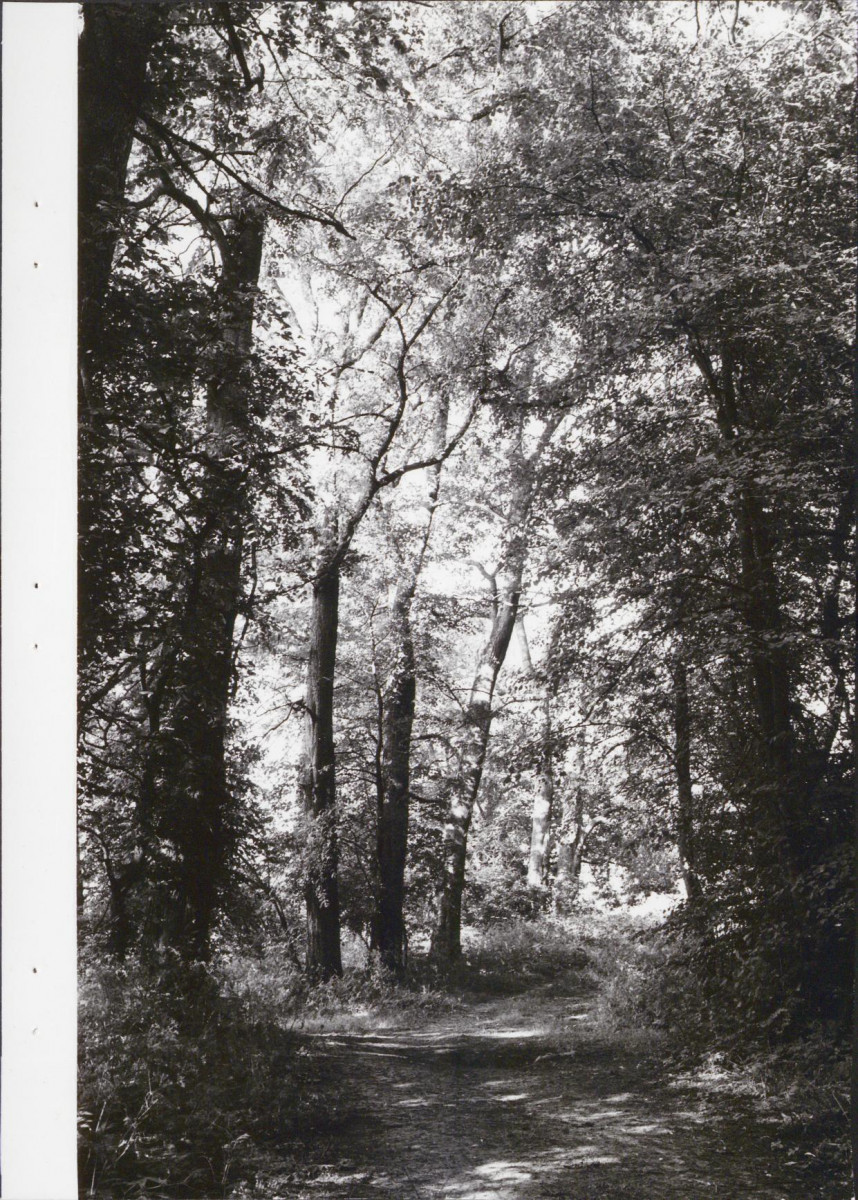EP - Ewidencja parkowa, skan nr 28