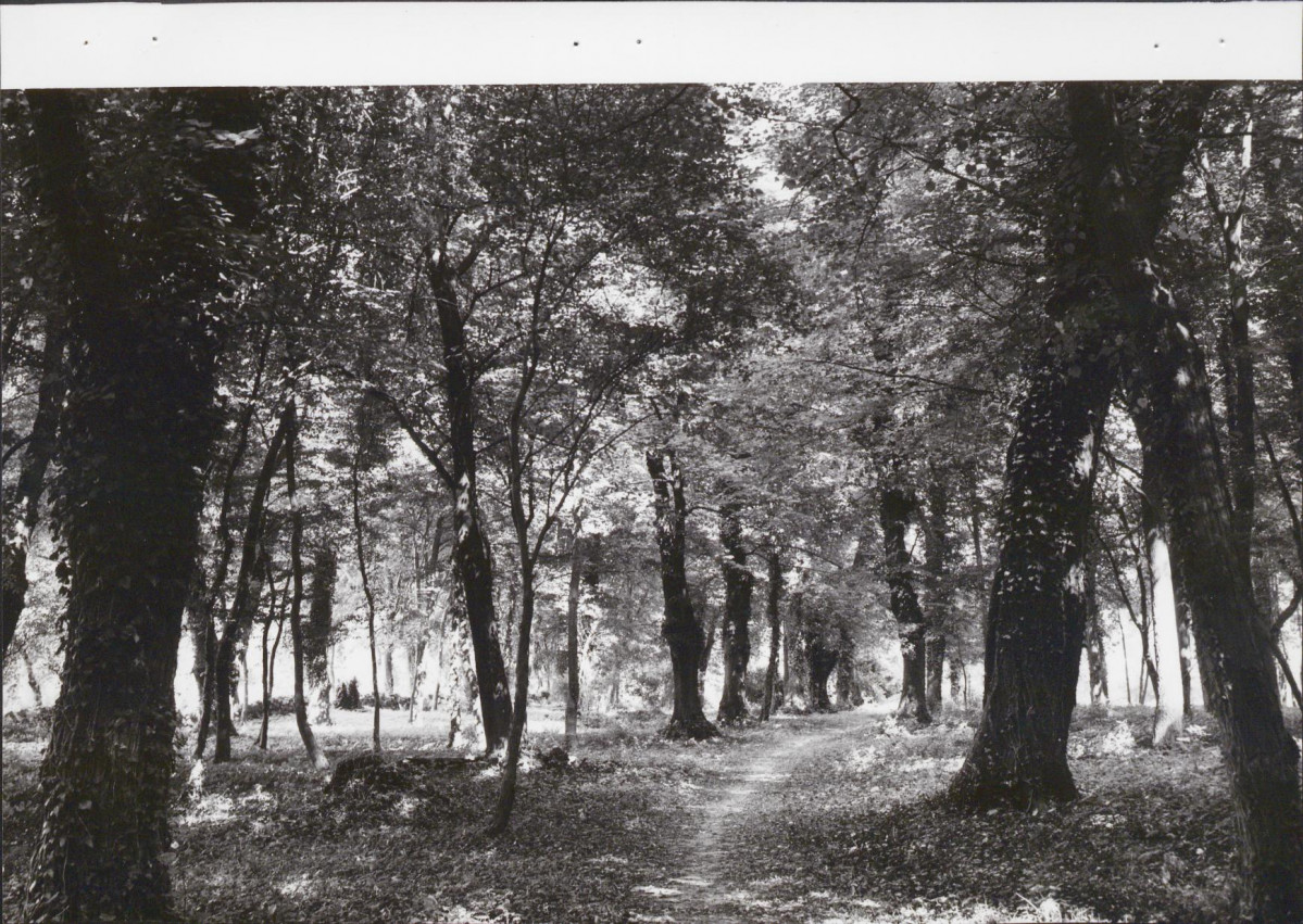 EP - Ewidencja parkowa, skan nr 70