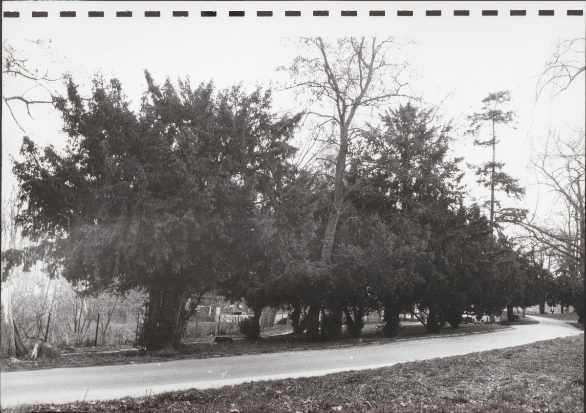 Ewidencja parkowa, skan nr 31
