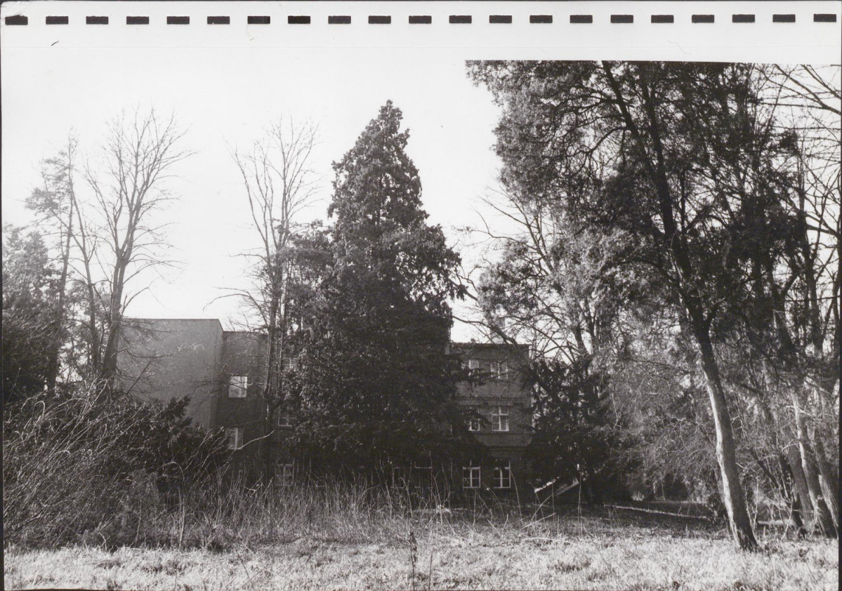 Ewidencja parkowa, skan nr 49