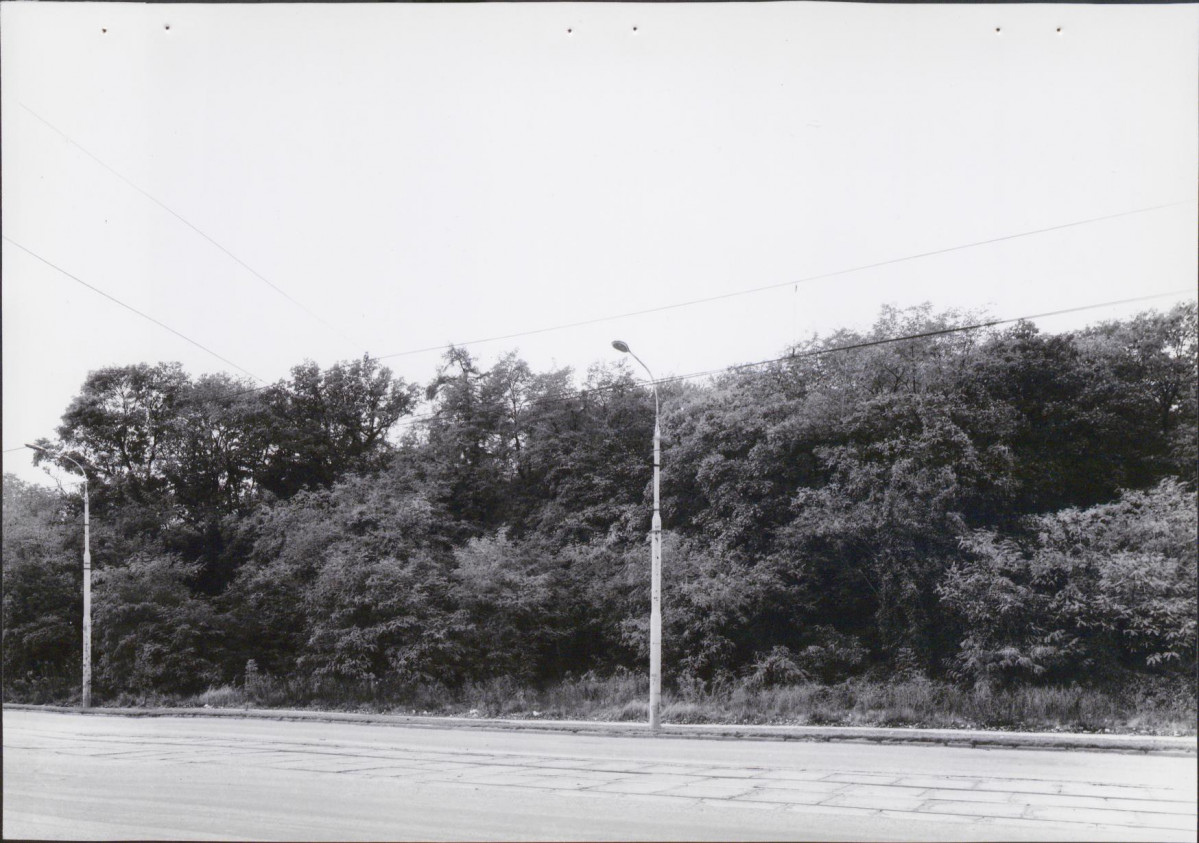 EP - Ewidencja parkowa, skan nr 32