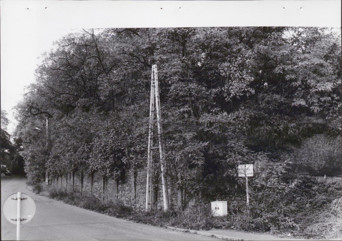 EP - Ewidencja parkowa, skan nr 38