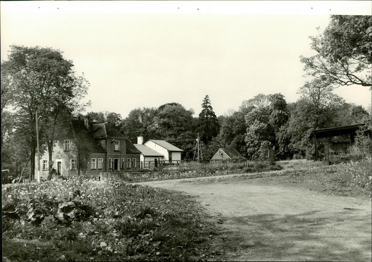 Ewidencja parkowa, skan nr 29